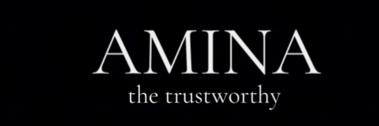 aminambugha's profile banner image