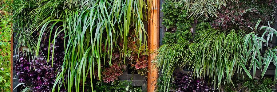 balconpotager's profile banner image