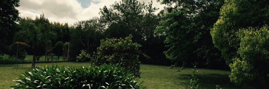 Corina banner
