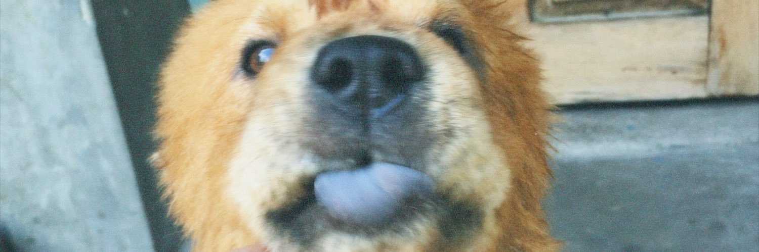 ayikoo_'s profile banner image