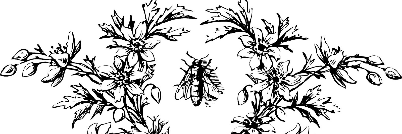 SuggittAndSee's profile banner image