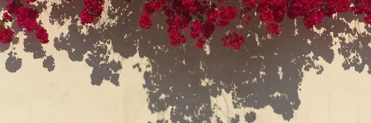 davis_maghan's profile banner image