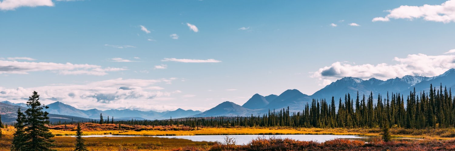 Fayez Al-Shammari banner