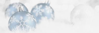 tuliparianc's profile banner image