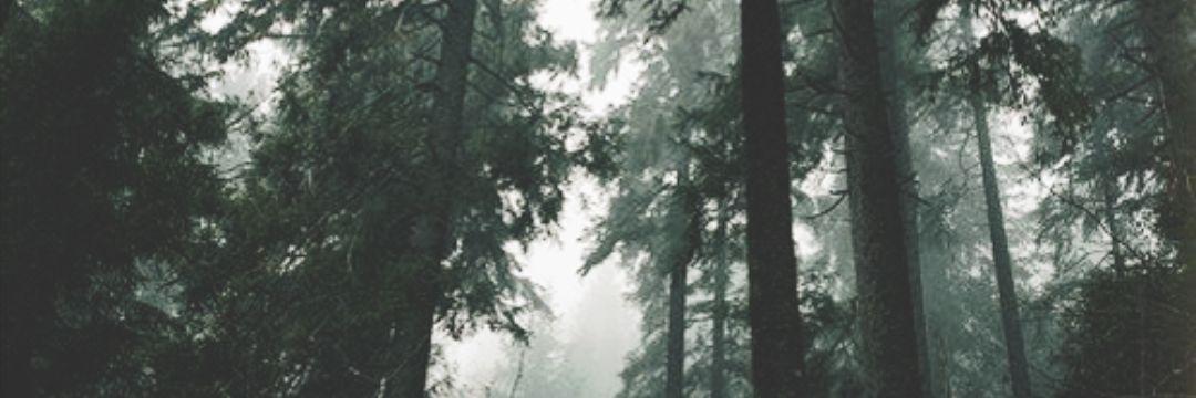 Chomikftjonah's profile banner image
