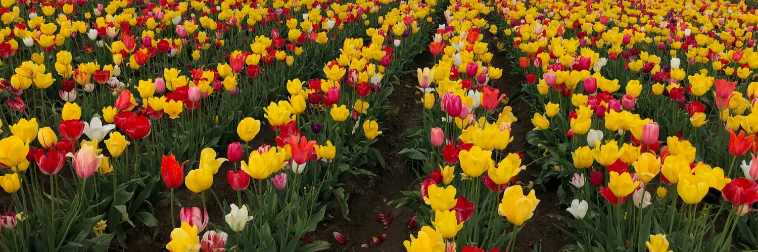 Ninablake6789's profile banner image