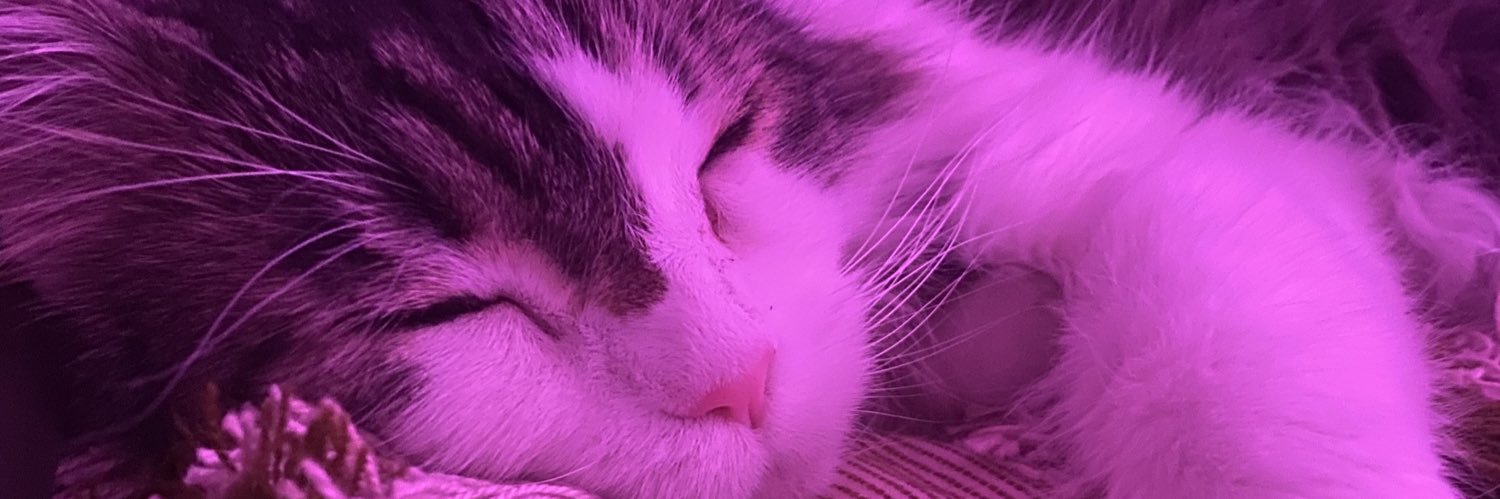 RoyanaRP's profile banner image