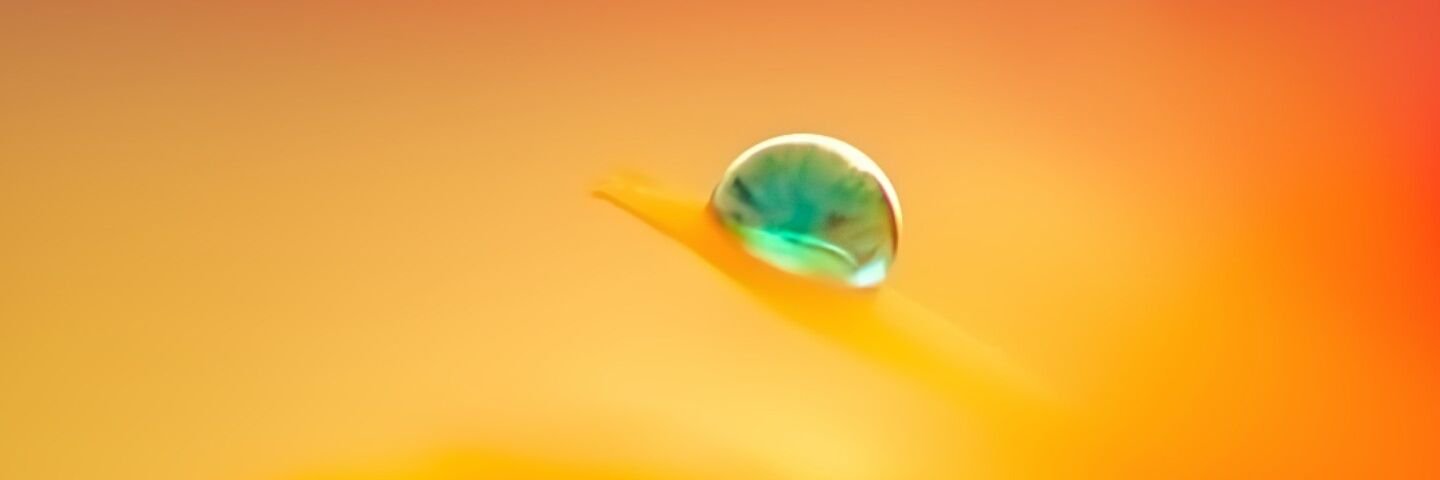 Mohammad Reza banner