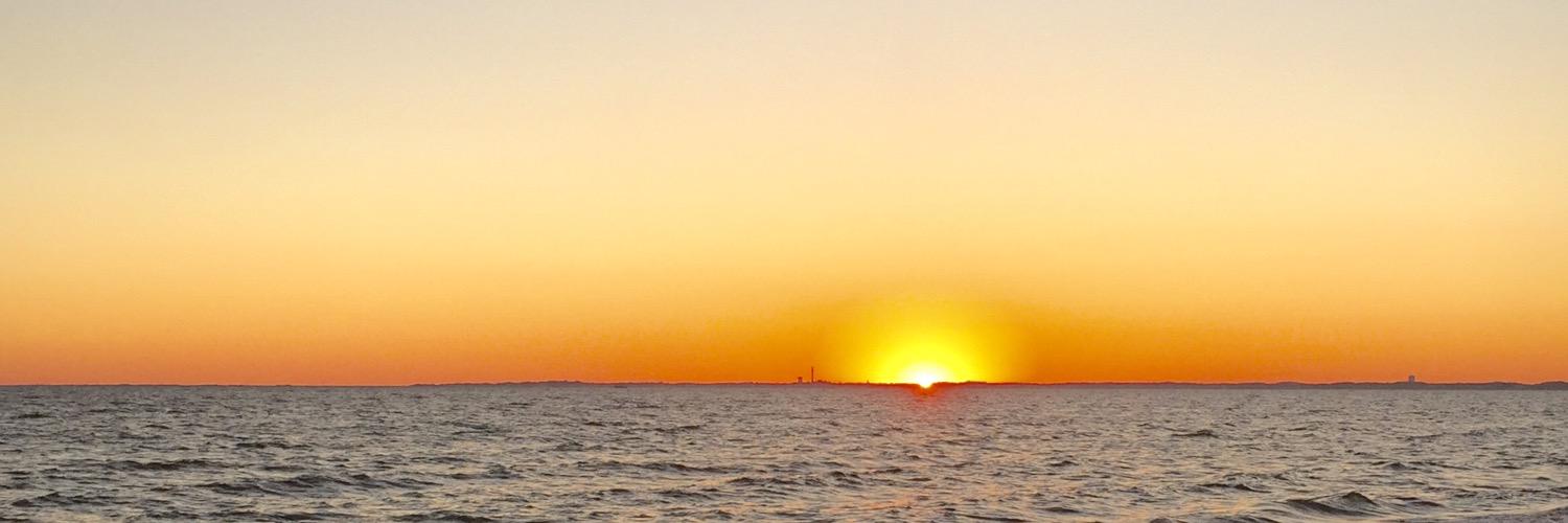 Michael Shapiro banner