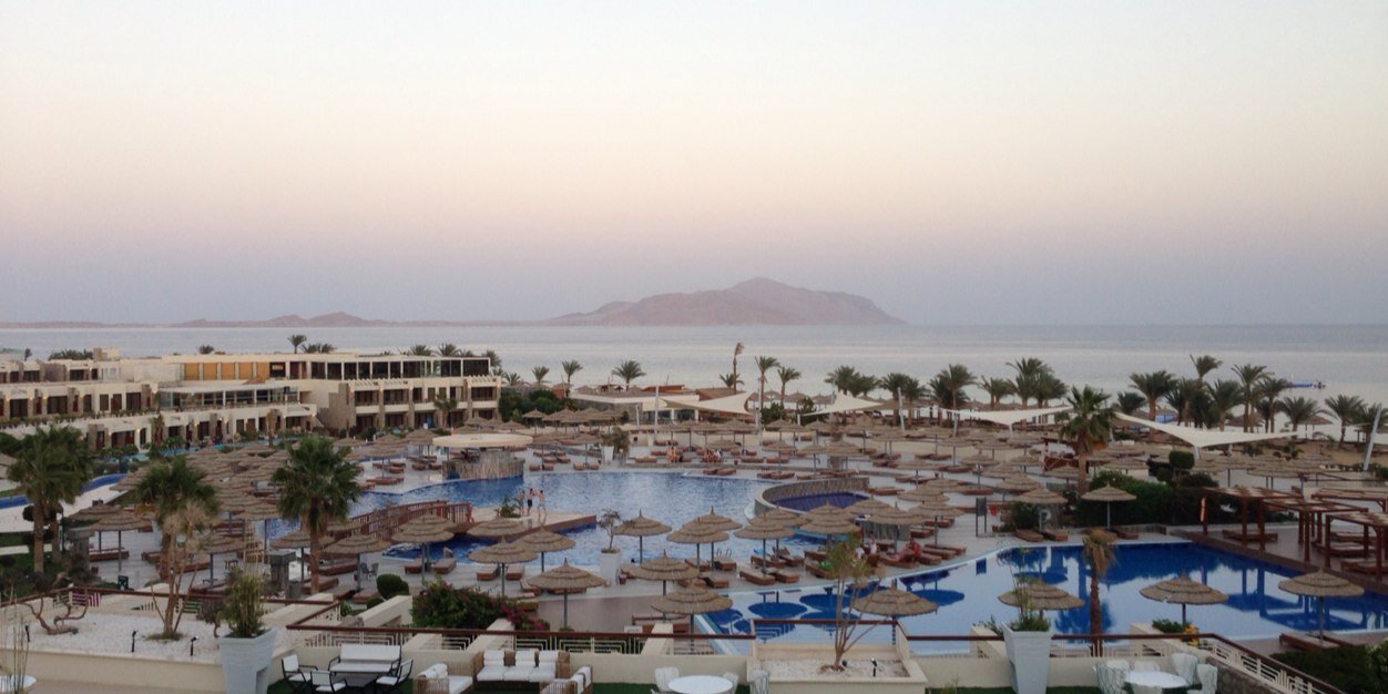 Paul McIntosh banner