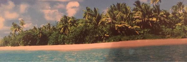 DeannaReising Profile Banner
