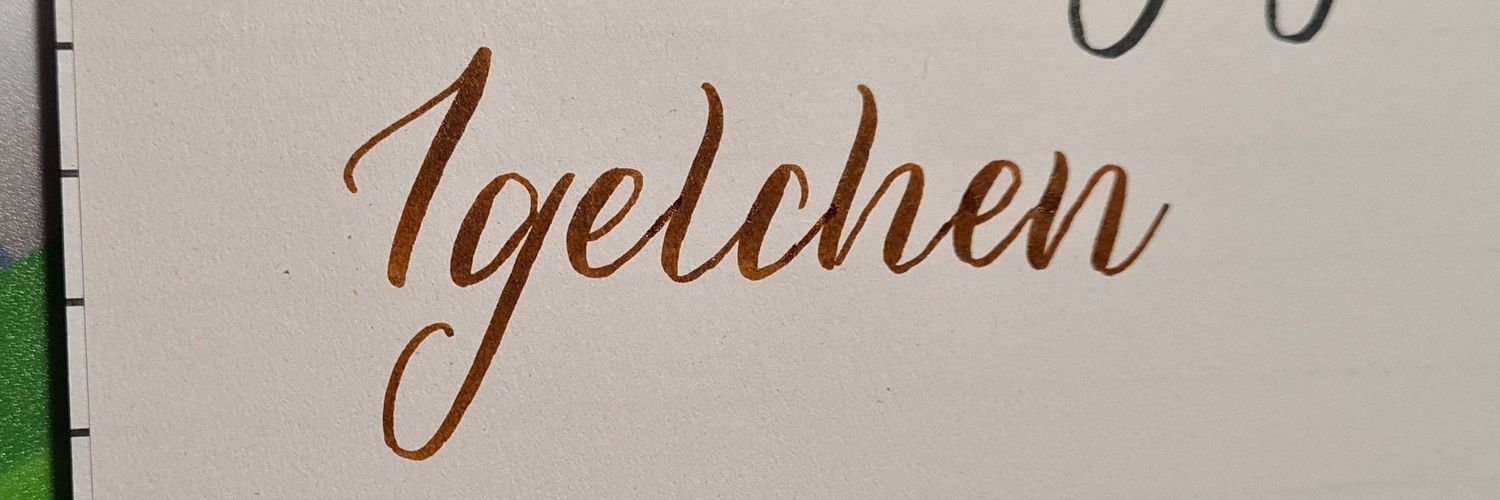 igelkrams's profile banner image
