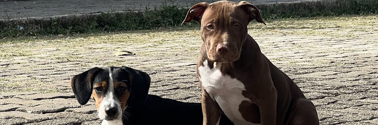 Sharley69's profile banner image