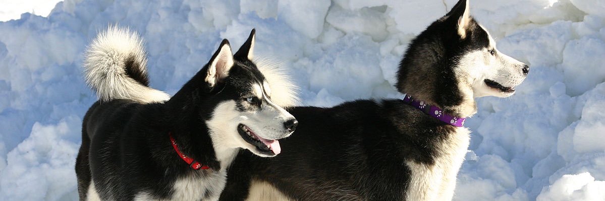 flameVader 🔺 banner