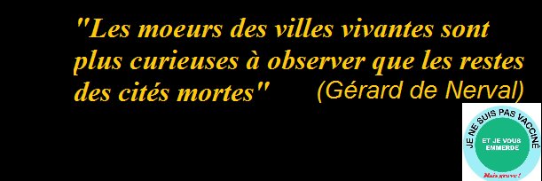 🇫🇷 Guy Manmins banner