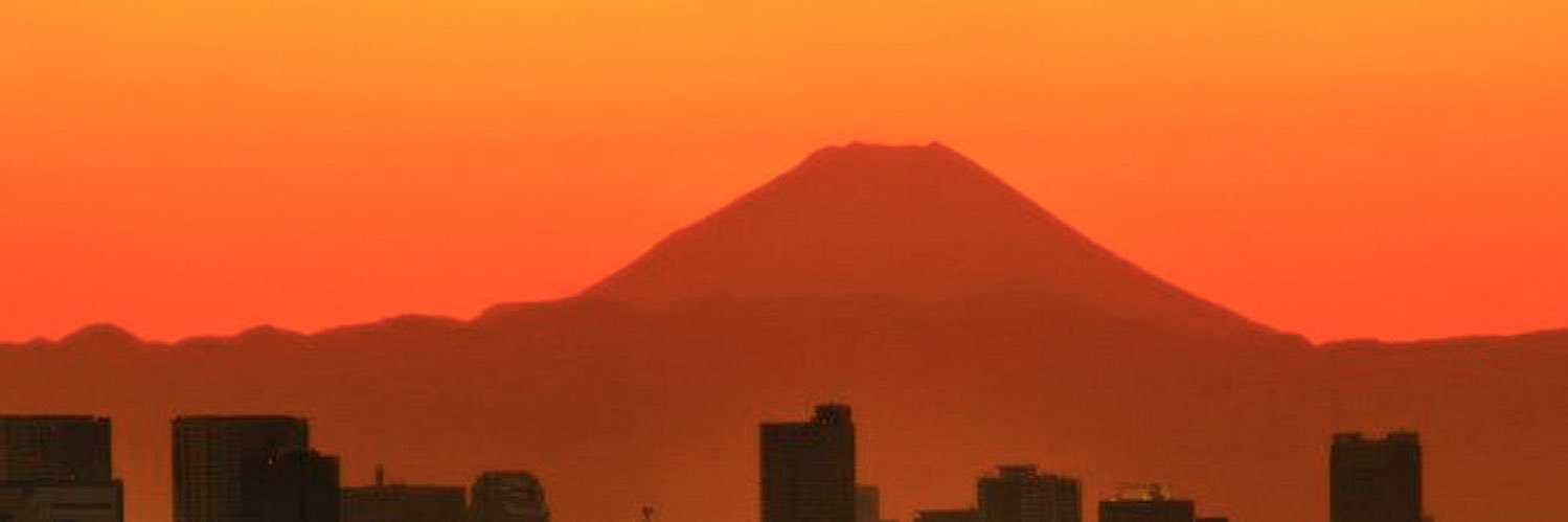 YuWillow's profile banner image