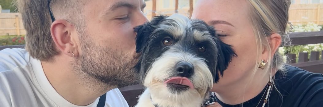 cchloemay's profile banner image