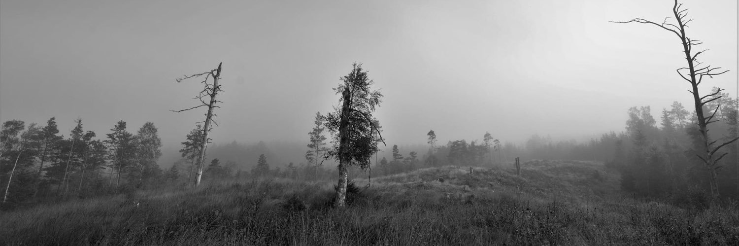 Claus Perregaard banner