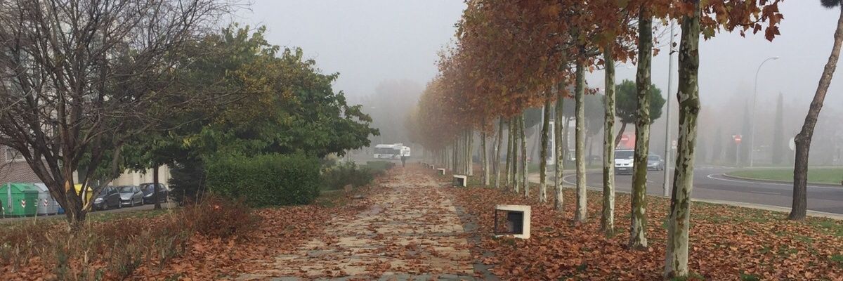 P_Venancio's profile banner image