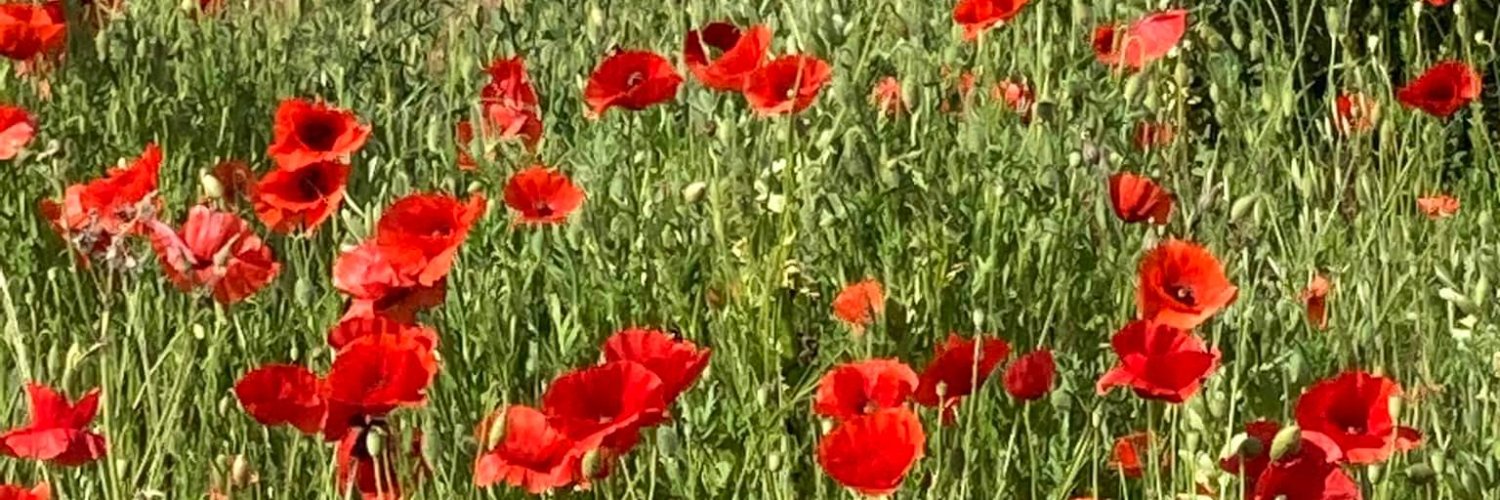 lyndazerouk's profile banner image