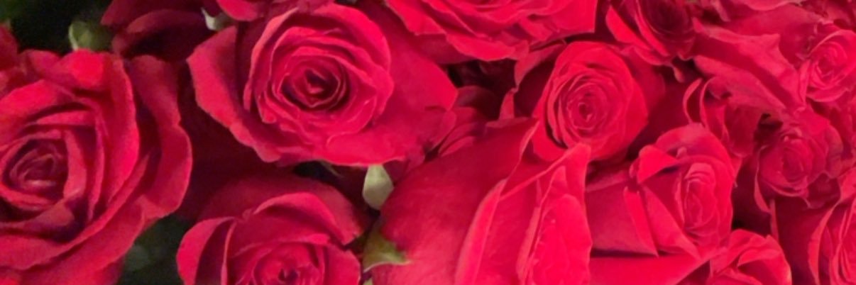 tamyaaah's profile banner image