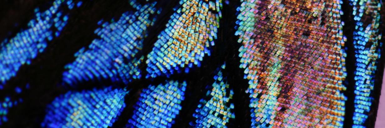 Exeter_Waves's profile banner image