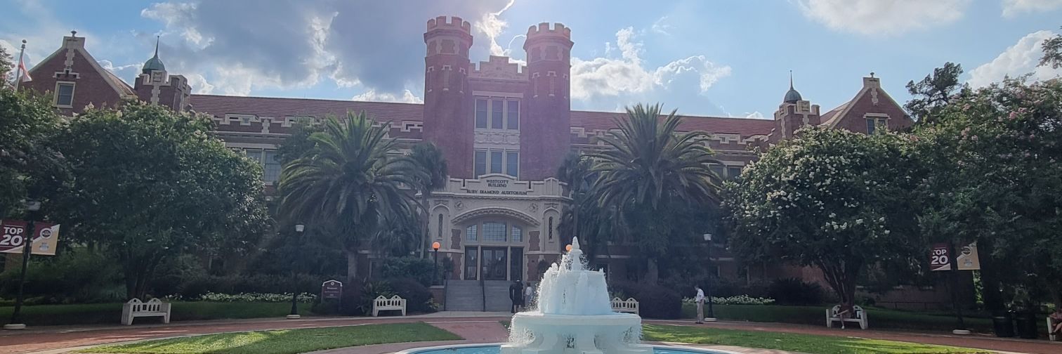 Thaís Pedrete banner