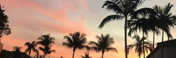 dmgravatt's profile banner image
