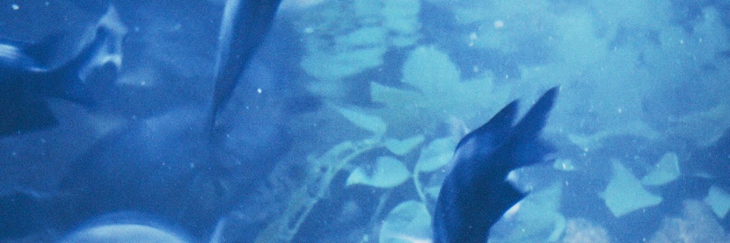 ccamilabosch's profile banner image