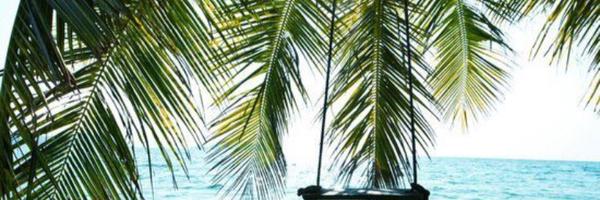 AmandaLuse Profile Banner