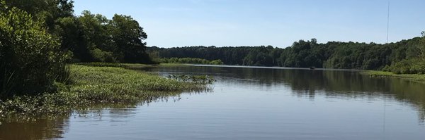 RobinDail Profile Banner