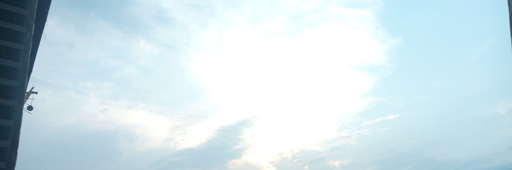 willnode's profile banner image