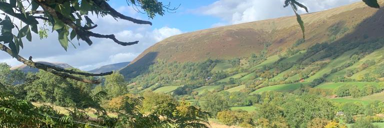 Jeremy Wilding banner