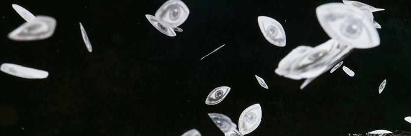 angie ◟̽◞̽ banner