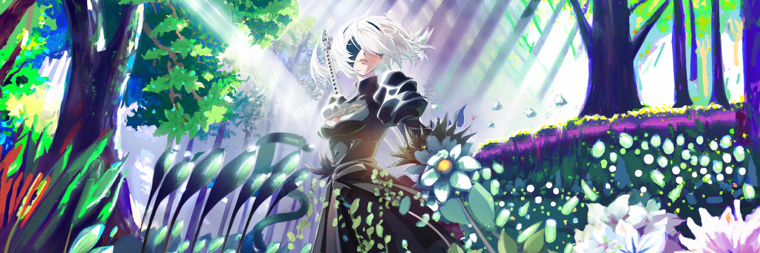 Codex_fr's profile banner image