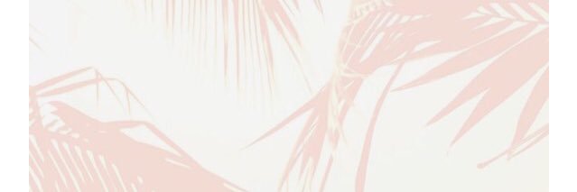 carolanadams's profile banner image
