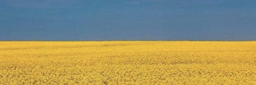 agcrid's profile banner image
