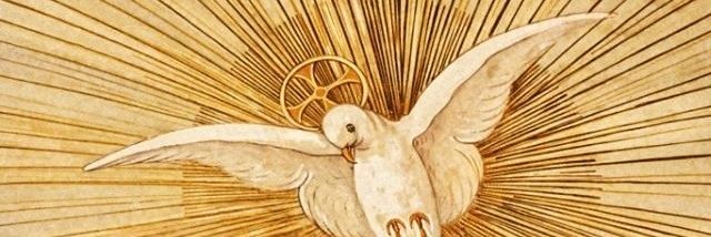 MiaSheils's profile banner image