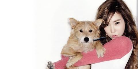 xolovstefi's profile banner image