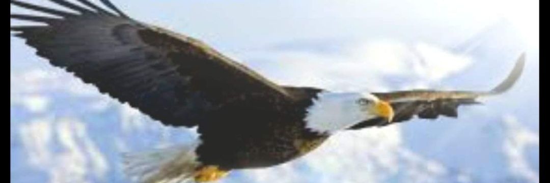 rolvic2002's profile banner image