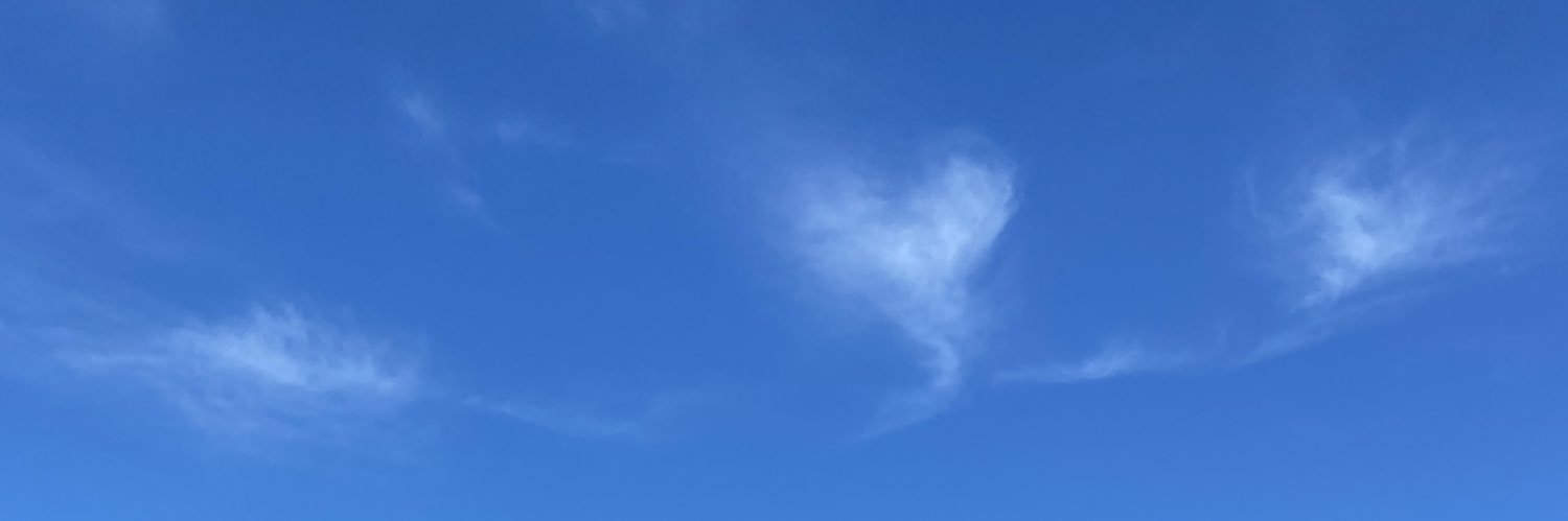 bellampf's profile banner image