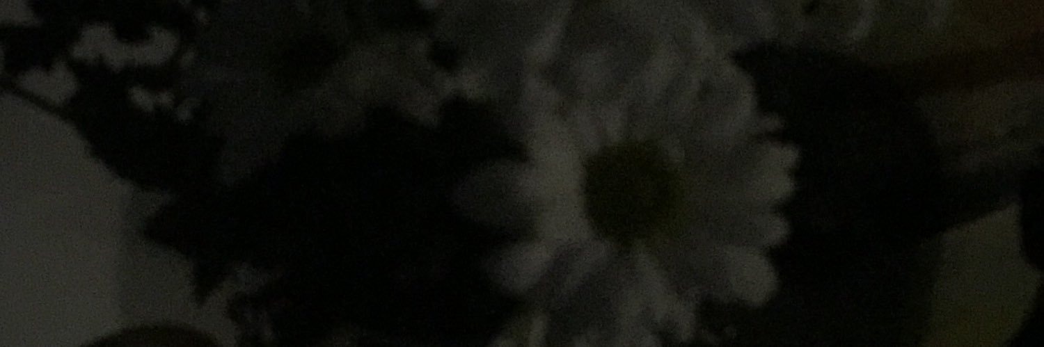 saractiptop6723's profile banner image