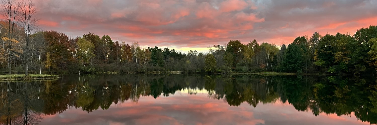 jonettelaurie's profile banner image