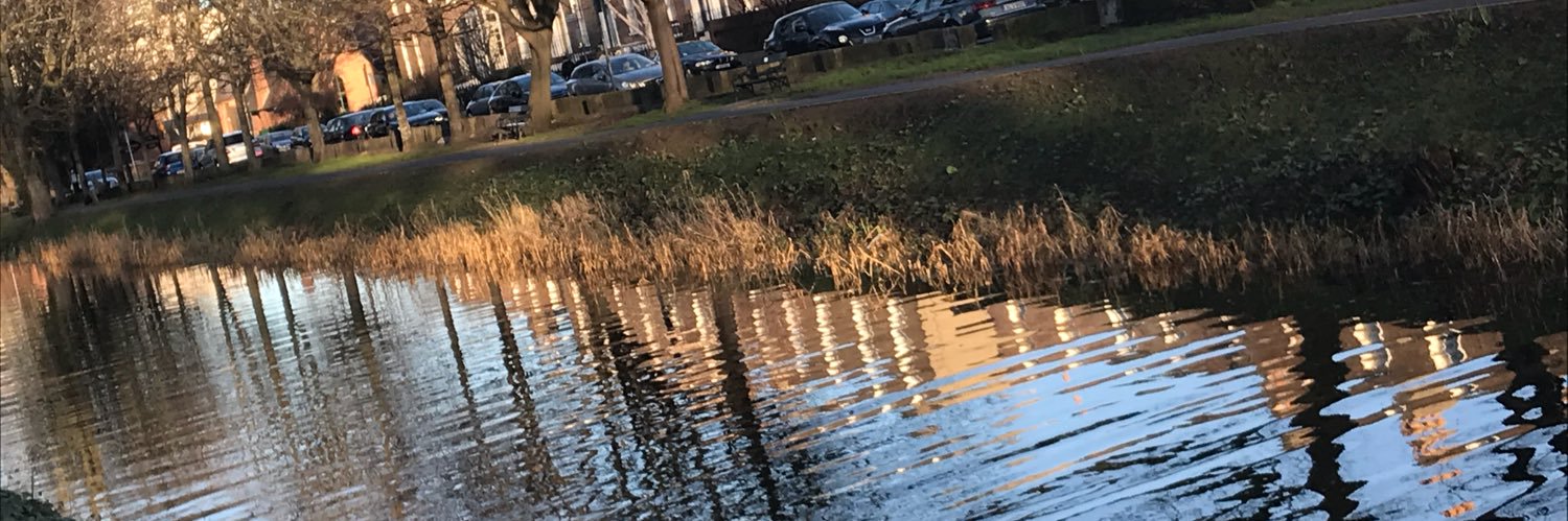MonHarding's profile banner image