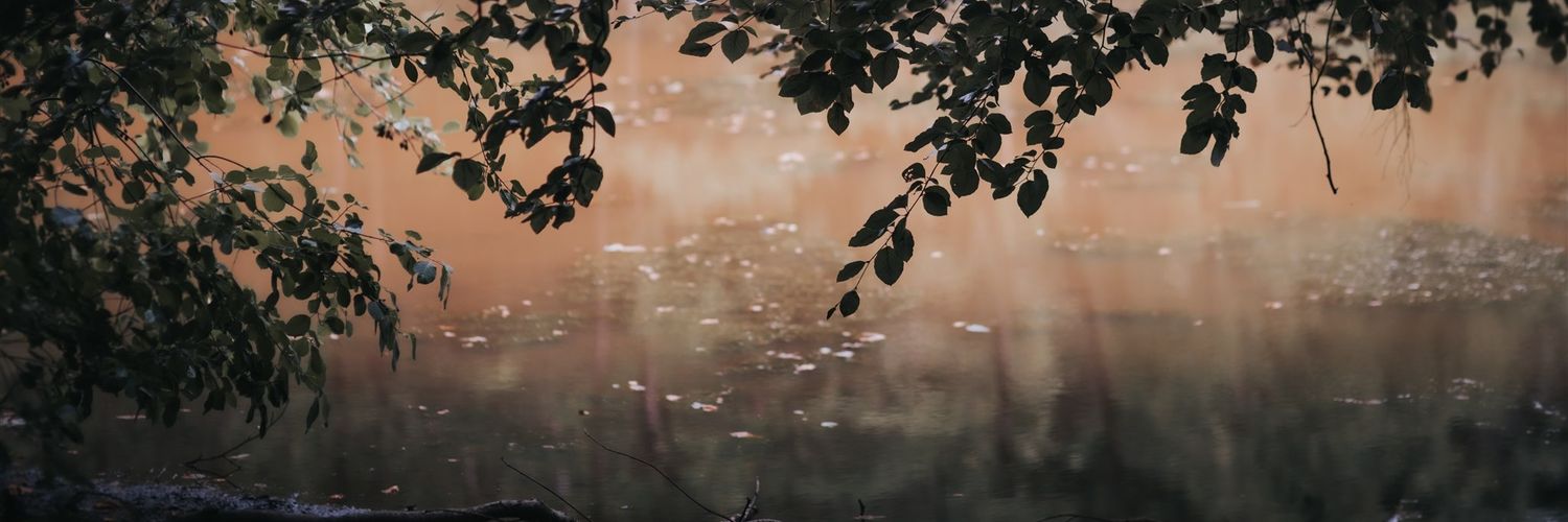 phylizitous's profile banner image