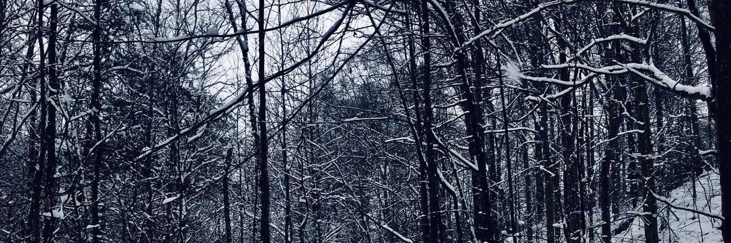 KrysinskiSean's profile banner image