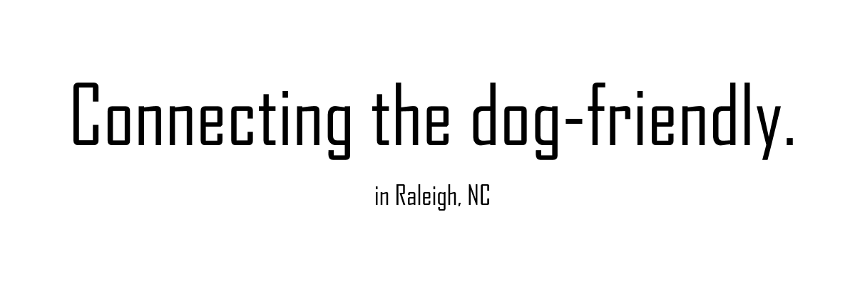 YesDogRaleigh's profile banner image