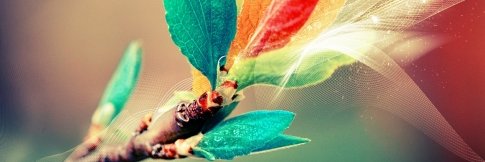 larrapovadora's profile banner image