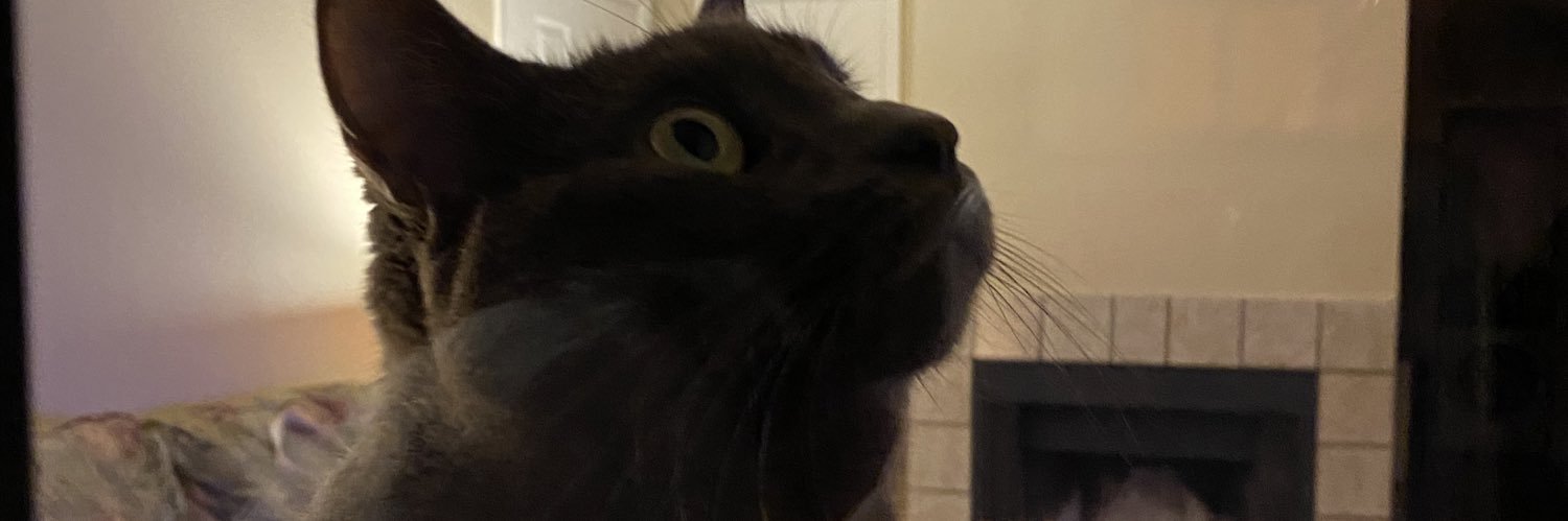 taylorevans00's profile banner image
