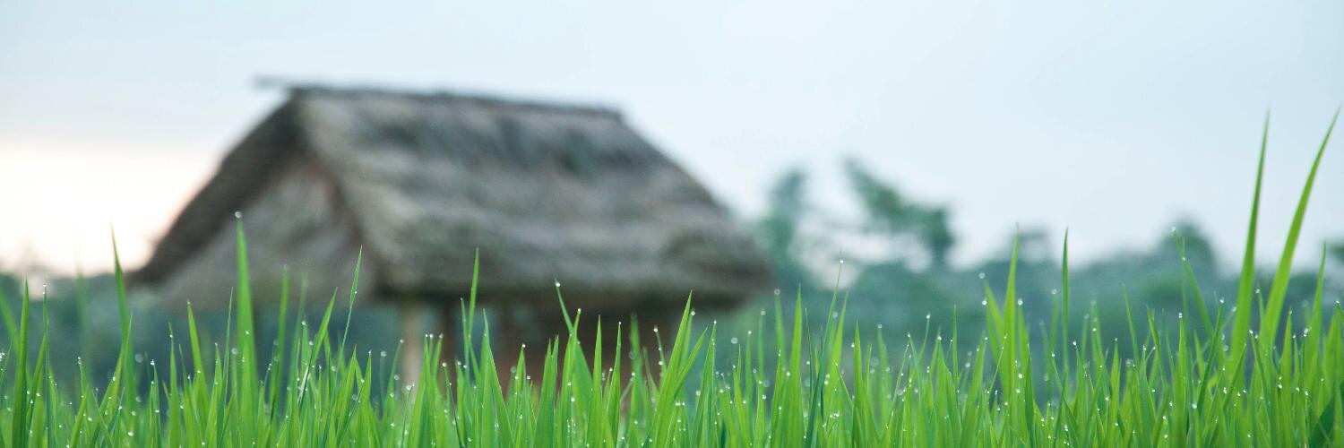 agabriele's profile banner image